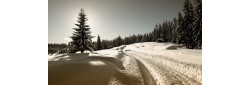 Paysage du Jura au printemps