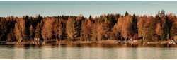 Paysage du Jura au printemps
