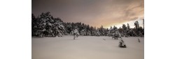 Paysage du Jura au printemps