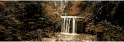 Paysage du Jura au printemps
