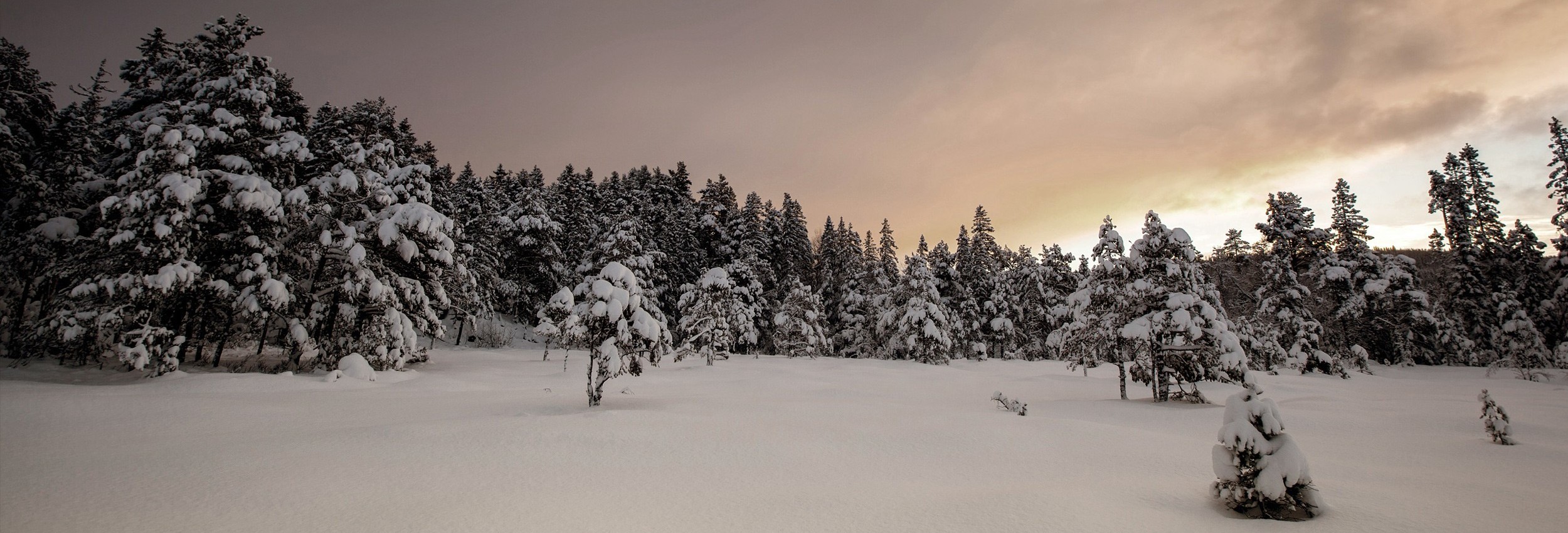 Paysage du Jura au printemps