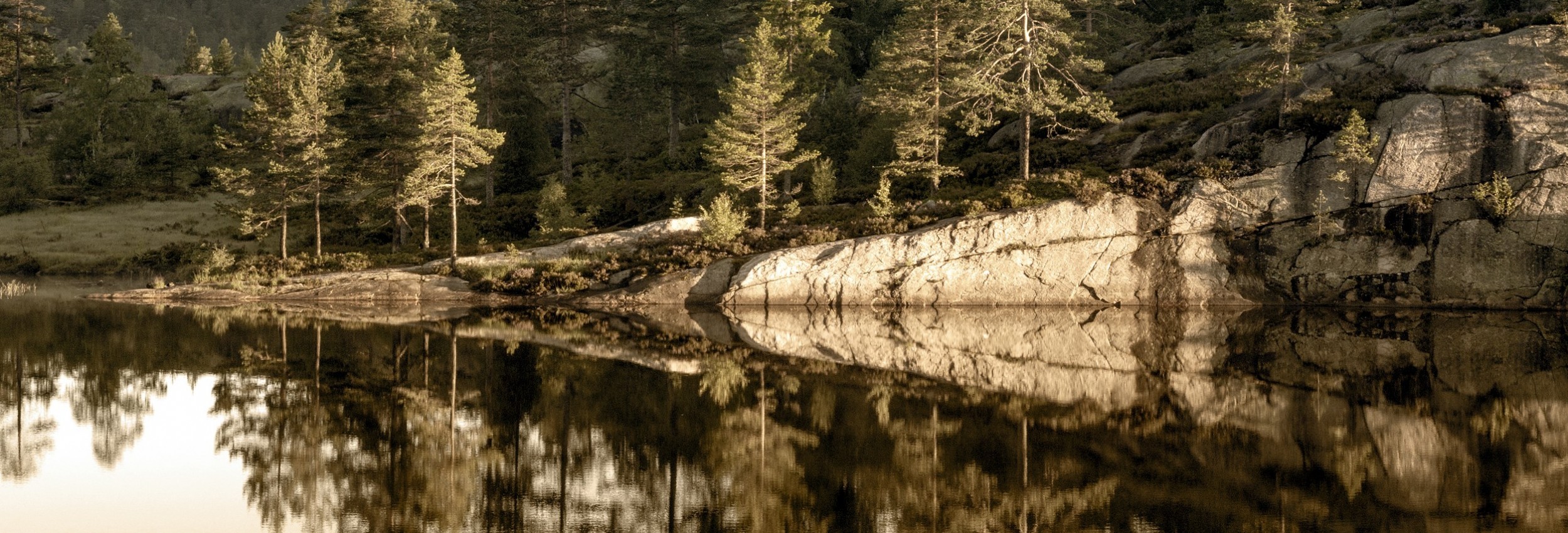 Paysage du Jura au printemps