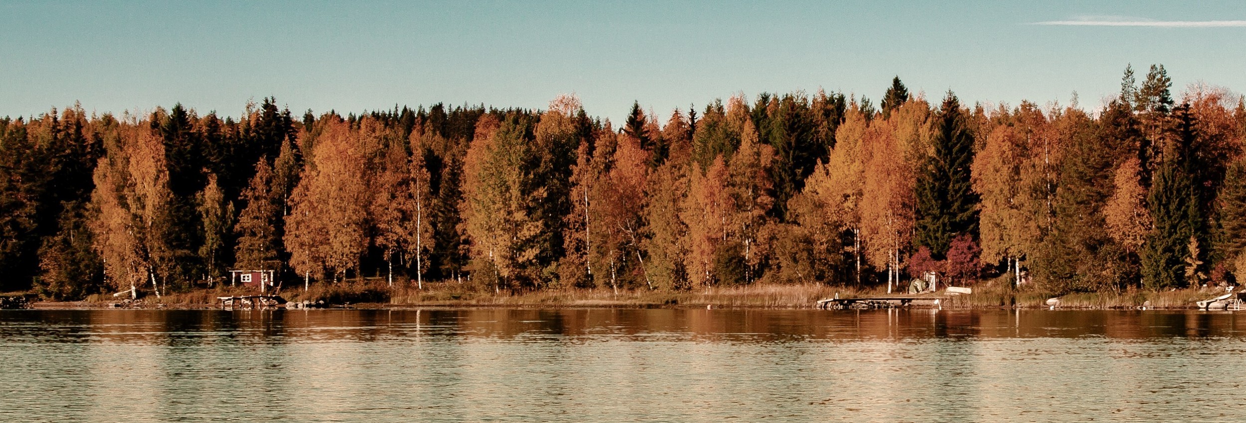 Paysage du Jura au printemps